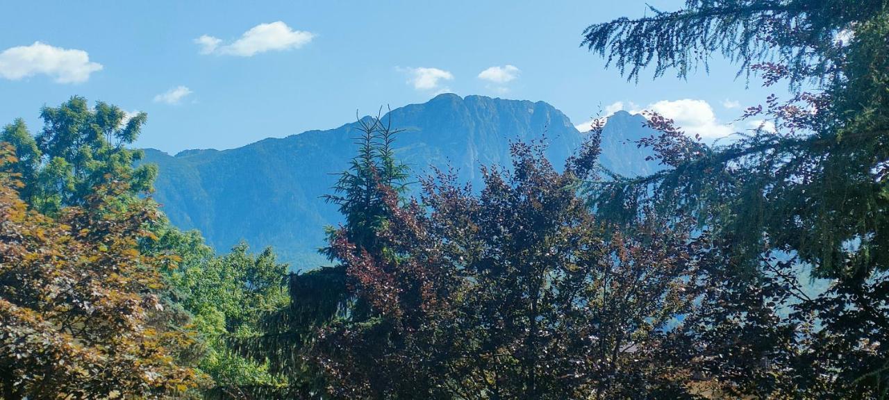 Apartament Bunia W Zakopanem Z Jacuzzi